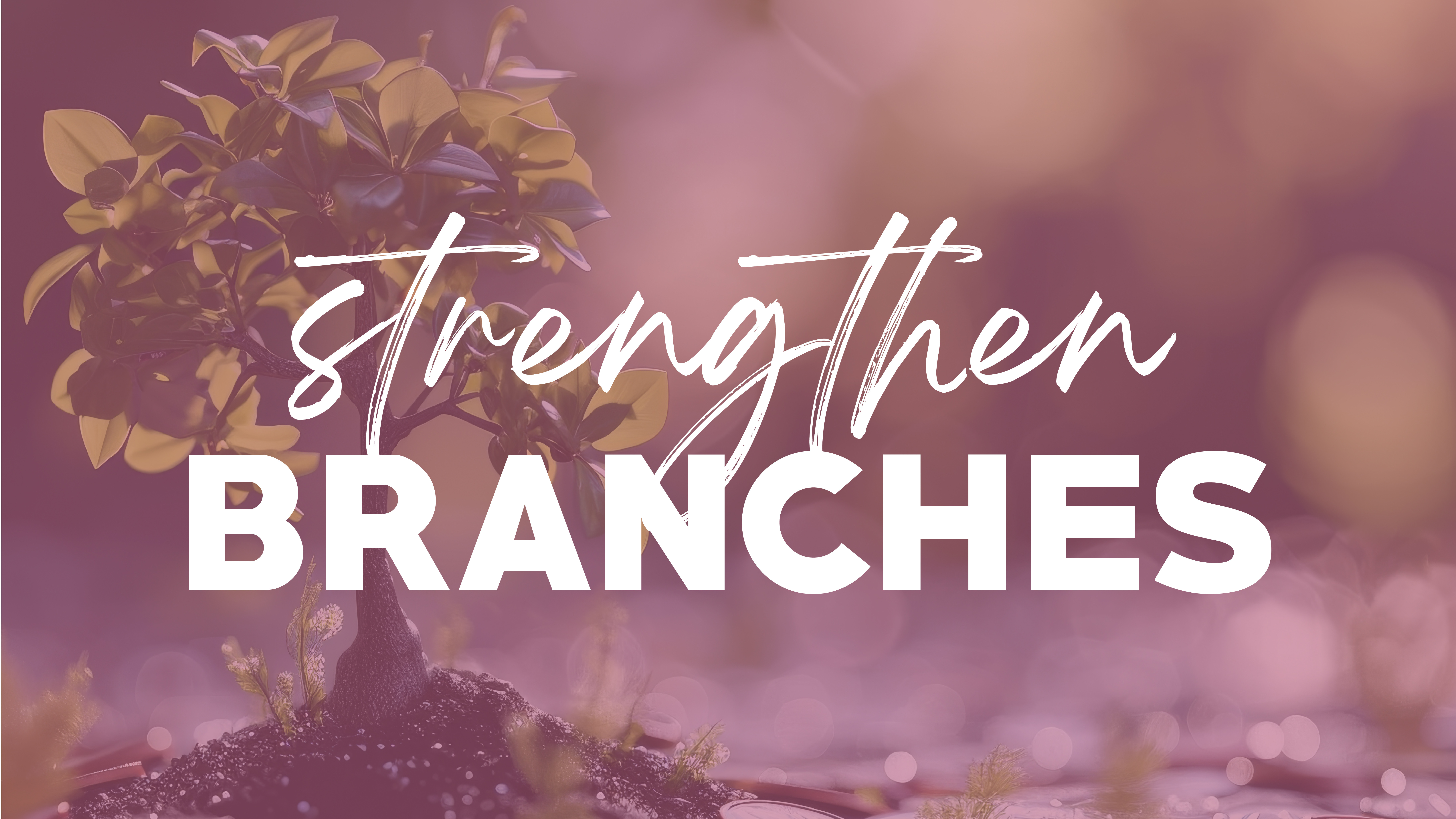 Strengthen Branches